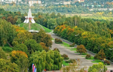 Купить чеки в Брянске