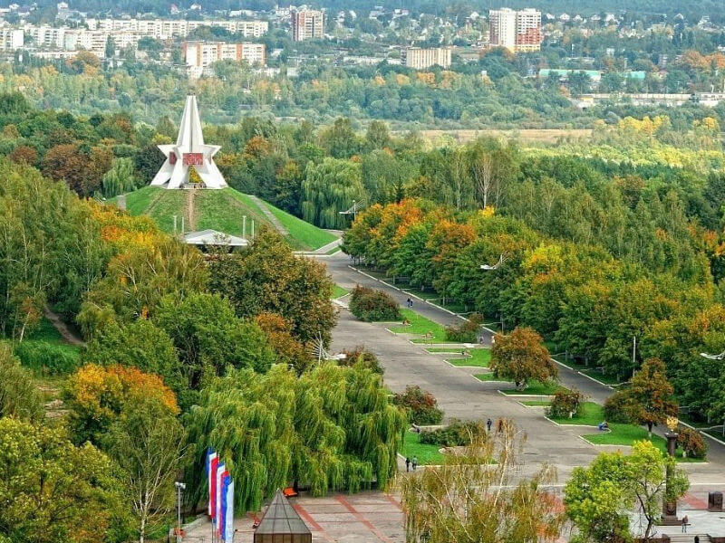 Купить чеки в Брянске