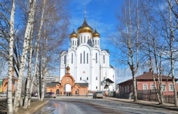 Купить чеки в Сыктывкаре